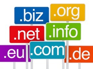 Image for post: Guide to Domain Registration